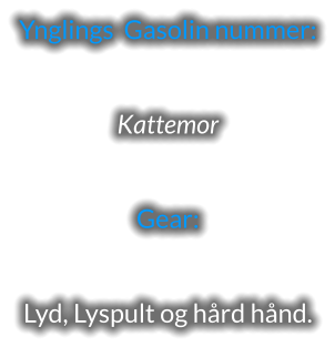 Ynglings  Gasolin nummer:  Kattemor  Gear:  Lyd, Lyspult og hård hånd.